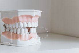 Dentalmodell – ein Beispiel für Mundhygiene, wofür Mastix-Kaugummi am besten erforscht ist